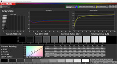 CalMAN Scala di grigi (target color space P3)