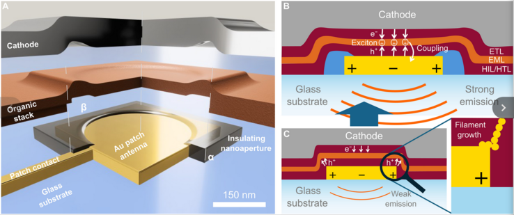 (Fonte immagine: Science.org)