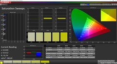 CalMAN Saturation Sweeps calibrato (spazio colore target: sRGB)