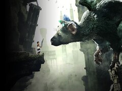 Immagine del gioco The Last Guardian su PS4. (Fonte: PlayStation)
