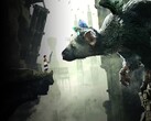 Immagine del gioco The Last Guardian su PS4. (Fonte: PlayStation)