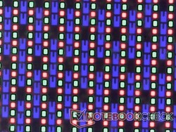 I subpixel OLED sono lucidi e nitidi, senza problemi di granulosità