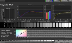 Scale di grigio CalMAN