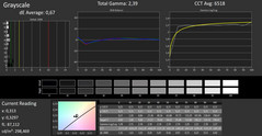 CalMAN: Grayscale - calibrato