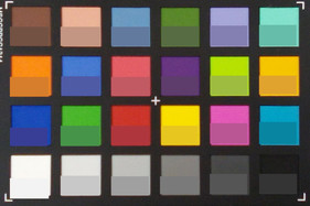 Colori ColorChecker. Il colore di riferimento si trova nella metà inferiore di ogni quadrato.