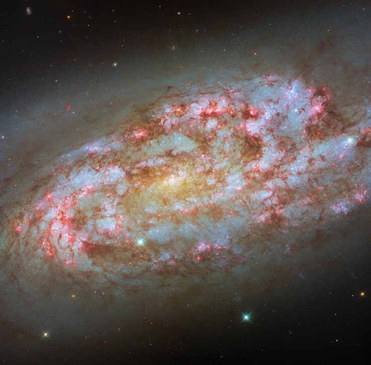 Immagine Hubble di NGC 1792 (Fonte immagine: ESA/Hubble, NASA, D. Thilker, F. Belfiore, J. Lee e il Team PHANGS-HST)