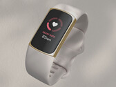 Fitbit potrebbe continuare a vendere il Charge 5 ancora per qualche mese. (Fonte: Fitbit)