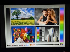 Ampi angoli di visione IPS