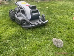 L'Airseekers Tron ha rilevato in modo affidabile il nostro manichino riccio durante il test.