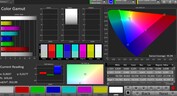 CalMAN Color Space DCI P3 – Modalità Display regolabile