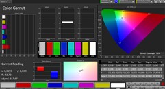 CalMAN sRGB spazio colore – naturale
