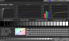 Scala di grigi CalMAN