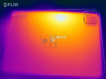 Mappa di calore posteriore