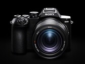 La Sony RX10 V offre uno zoom ottico 25x.