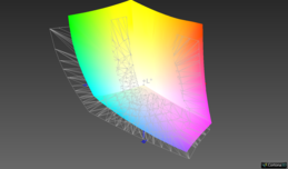 rispetto ad AdobeRGB: 80 % (Argyll, confronto 3D)