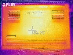 Distribuzione del calore a riposo (lato inferiore)