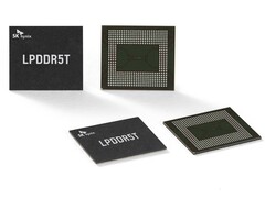 Una coppia di chip SK hynix (fonte: SK hynix)