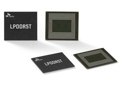 Una coppia di chip SK hynix (fonte: SK hynix)