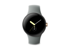 Google ha confermato che le notifiche sul ritmo cardiaco irregolare non sono disponibili sul Pixel Watch. (Fonte: Google)