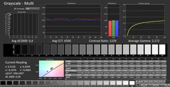 CalMAN: scala di grigi (calibrata)