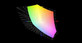 60% di copertura della gamma AdobeRGB