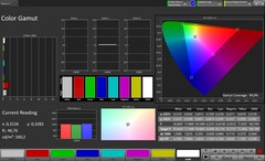 Display interno: Gamut di colore (Profilo: Professionale, Spazio colore di destinazione: sRGB)