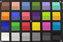 ColorChecker: Il colore target viene visualizzato nella metà inferiore di ciascun campo.