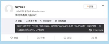 Sony Xperia 1 III Pro. (Fonte immagine: Weibo via AndroidNext)