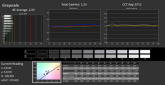 CalMAN - Scale di grigi (Profilo Adobe)