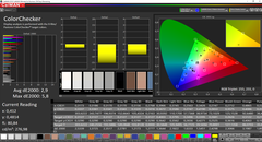 CalMAN: ColorChecker (calibrato)