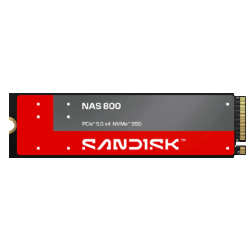 SSD Sandisk NAS 800 M.2 NVMe con un'etichetta rossa e grigia