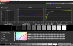 Scala di grigi CalMAN (dopo la calibrazione)