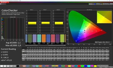 Precisione del colore (schema cromatico Original Color Pro, temperatura del colore calda, spazio colore target sRGB)