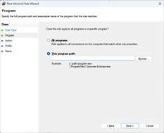 Inserisca il percorso del file di UplayWebCore.exe