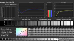 CalMAN: Scala di grigi (calibrata)