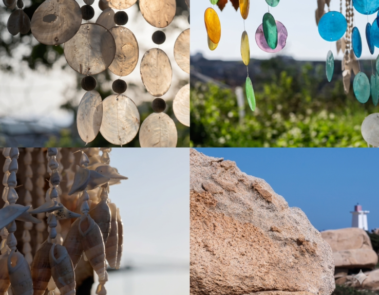 Il nuovo sensore zoom 3x del Pocket 4P crea un bokeh sorprendente.