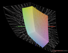 contro Adobe RGB: 41% di copertura