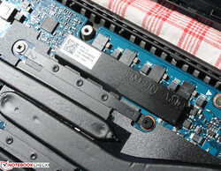 La scheda grafica AMD Radeon RX Vega 8 si trova nell'APU Ryzen (iGPU).