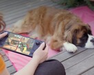Molti giocatori preferiscono ancora lo Steam Deck, nonostante l'hardware più debole.