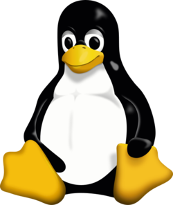 Tux, la mascotte di Linux. (Fonte immagine: Wikimedia Commons)