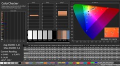 CalMAN: ColorChecker (calibrato)