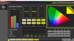 Saturazione calibrata