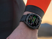 Il software di sistema 13.37 non è l'aggiornamento che Garmin ha presentato attraverso le recenti versioni beta. (Fonte: Garmin)