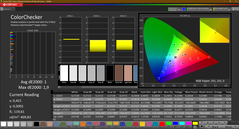 CalMAN - Color Checker (calibrato)