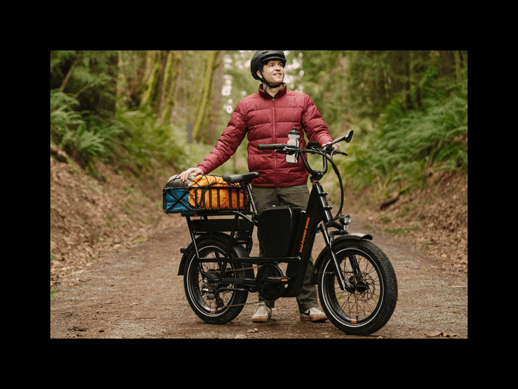 La e-bike utilitaria RadRunner Max Cargo offre un'autonomia di 60 miglia con una singola carica (fonte: Rad Power Bikes)