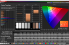 CalMAN: Colorchecker - calibrato (notevoli miglioramenti solo con valori di bianco)