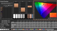 CalMAN: ColorChecker (calibrato)