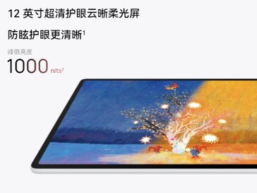 Huawei pubblicizza una luminosità fino a 1.000 nits (Fonte: Huawei)