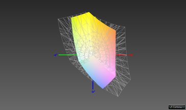 ThinkPad vs. sRGB