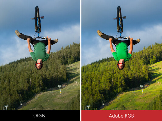 L'Adobe RGB può visualizzare più colori saturi dell'sRGB. (Fonte: ViewSonic)